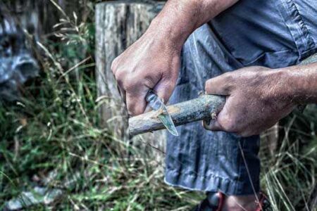Penknife Carving Projects and Techniques Image